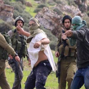 تصاعد وتيرة هجمات المستوطنين.. اعتداءات بالجملة على ممتلكات المواطنين