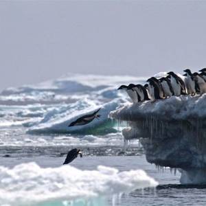 الأرض تغرق في مياه القطبين