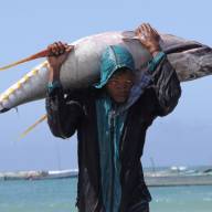 The coasts of Africa. Food wealth at the service of Europe