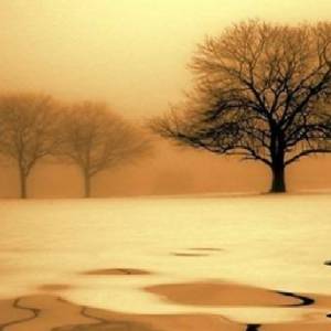 وبكى اليمام،، بكت تراتيل النخيل