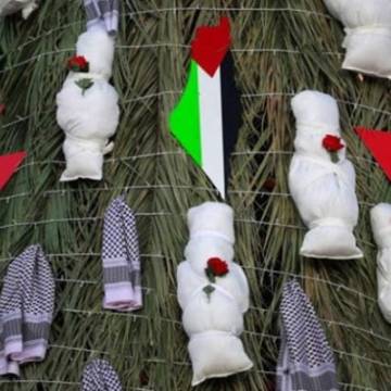 غزة.. حيث يأتي الميلاد بلا زينة ويولد الدفء من الركام 