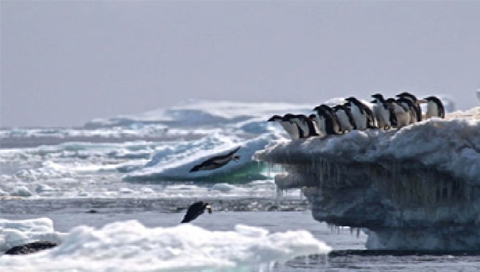 الأرض تغرق في مياه القطبين