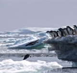 الأرض تغرق في مياه القطبين