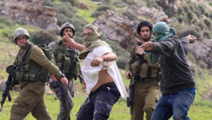 تصاعد وتيرة هجمات المستوطنين.. اعتداءات بالجملة على ممتلكات المواطنين