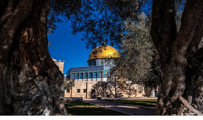 نتأخر ولكن نعود.. مفتتح العدد