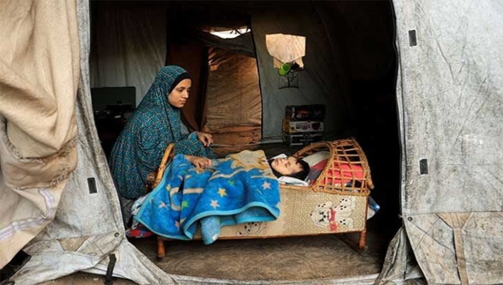 "سلام غزة" أم مجلس ترامب لتطويع العالم؟ 