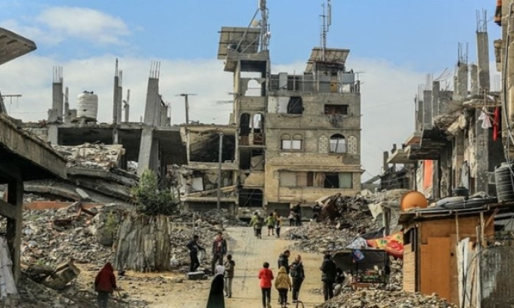 قصائد إيرلندية عن غزة 