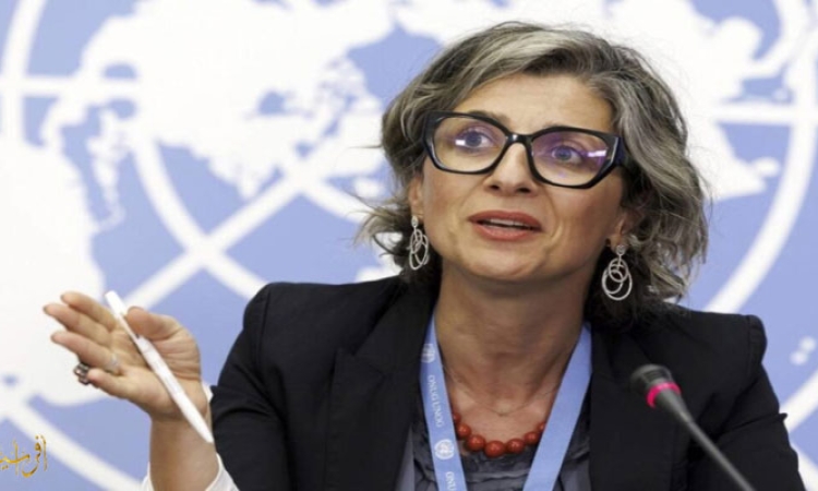 Albanese: The world has given Israel a license to torture Palestinians