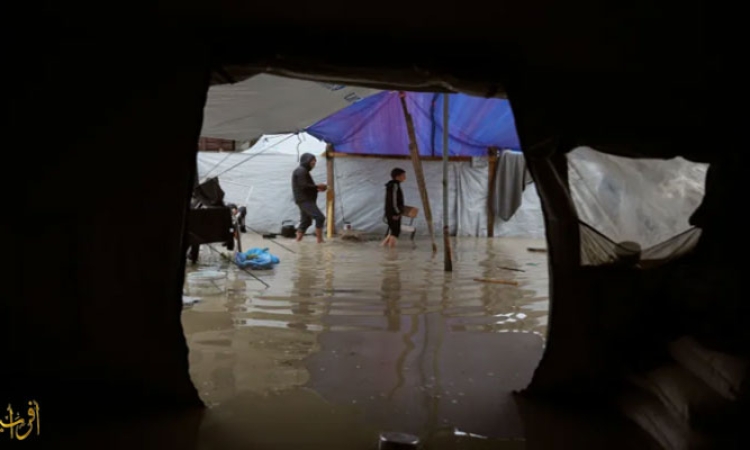 Half a year since the Gaza Agreement. Israeli Violations and Catastrophic Humanitarian Situation