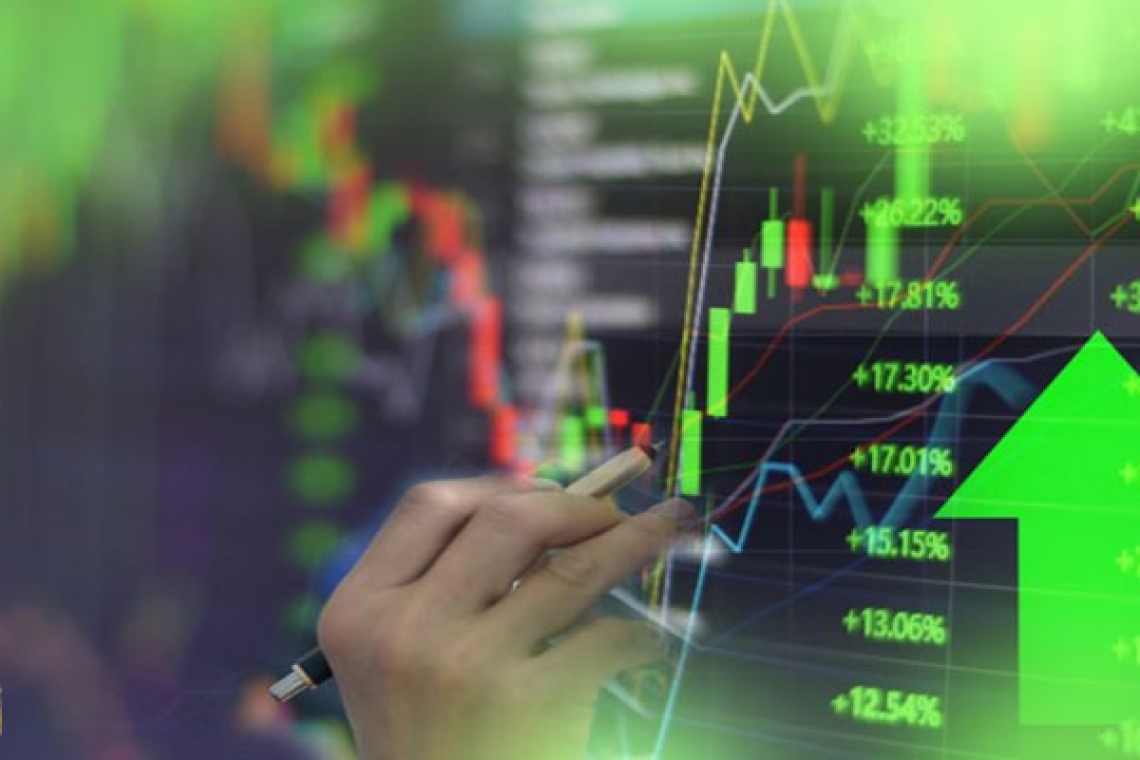 Bets on Blood: How Does War Turn into a Profitable Global Trade?