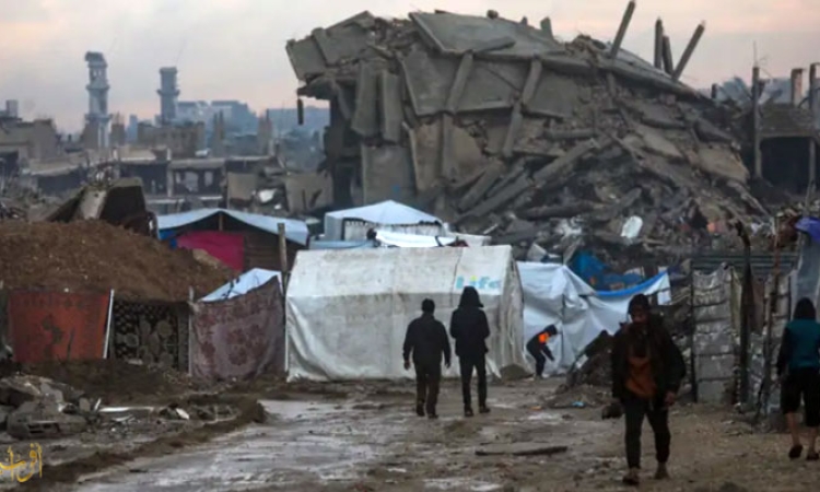 According to the Human Rights Group: Trump-led Peace Council Brings More Death and Suffering to Gaza 