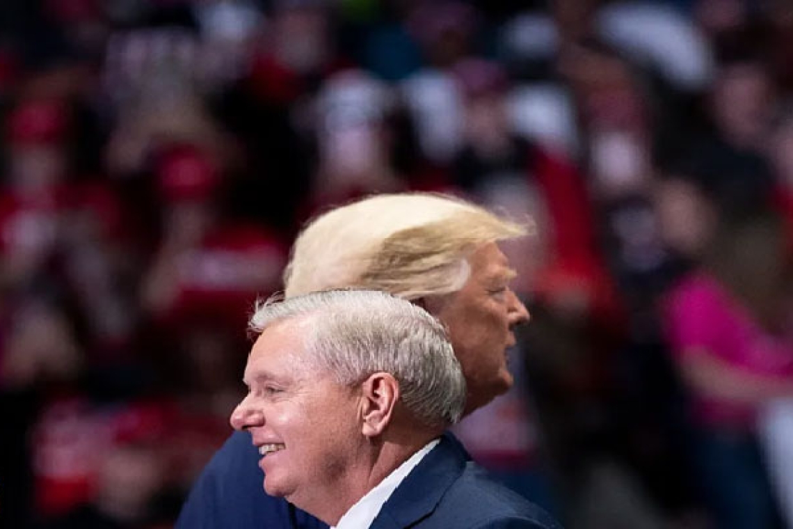 The swimmer with the sharks. The Long and Very Short Life of Senator Lindsey Graham