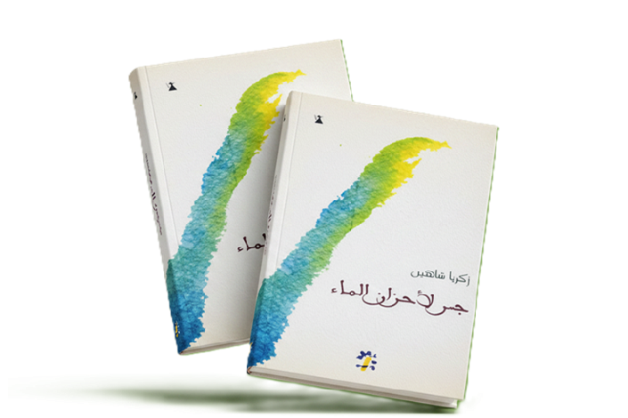  A Bridge for the Sorrows of Water - Poetry collection