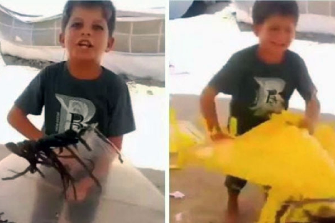 The child who tore up his plane before the sky bombed it! 