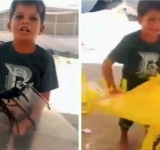 The child who tore up his plane before the sky bombed it! 