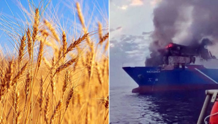 هجمات البحر الأسود تشعل أسعار القمح ومخاوف على غذاء الدول العربية