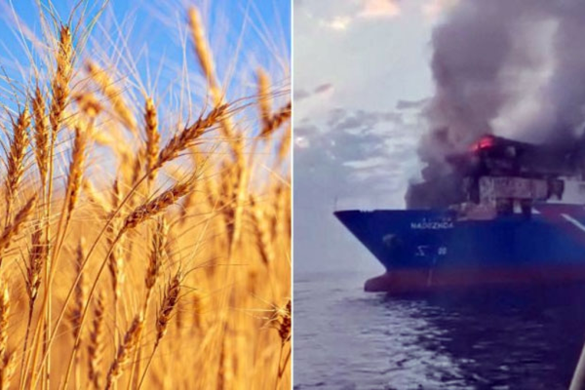 Black Sea attacks ignite wheat prices and concerns over Arab food