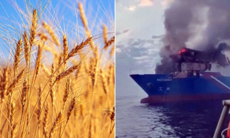 هجمات البحر الأسود تشعل أسعار القمح ومخاوف على غذاء الدول العربية
