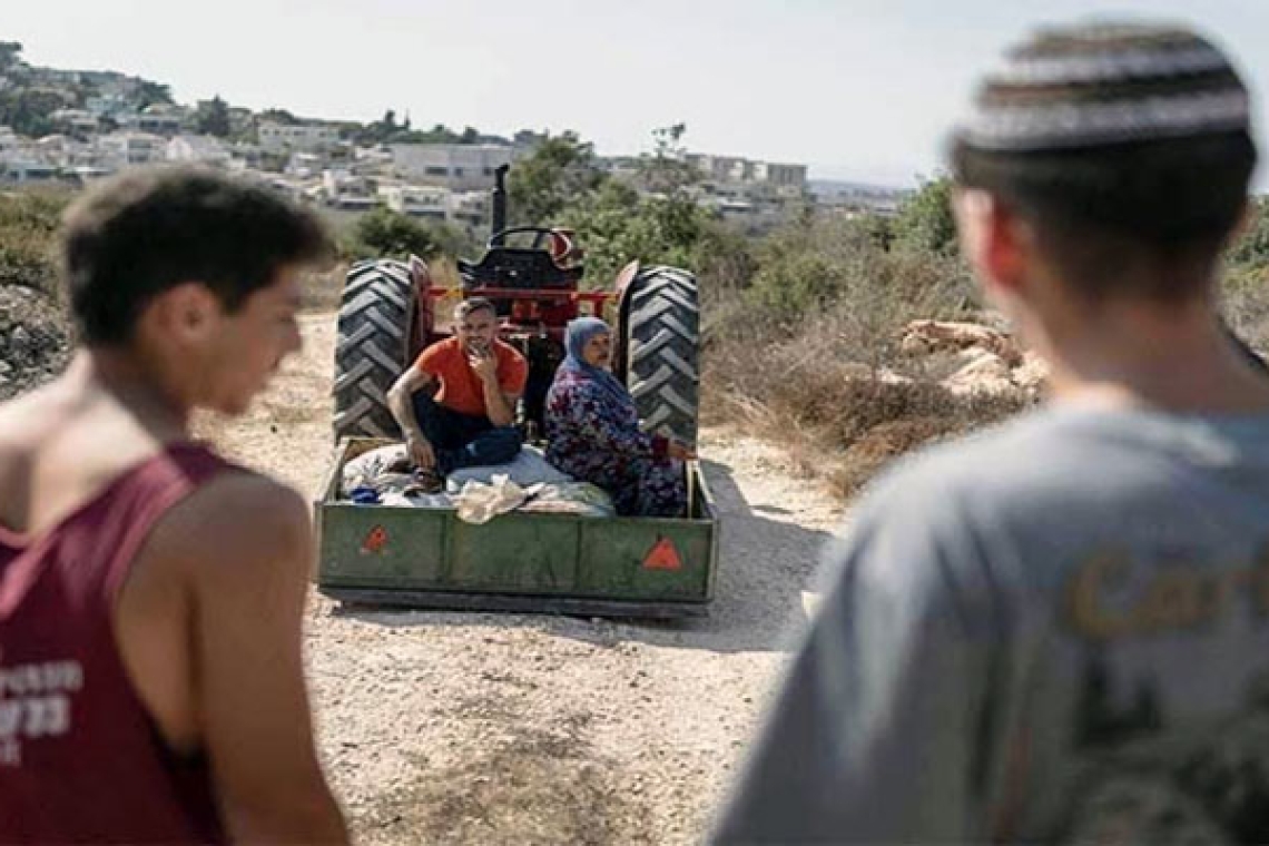 Rabbi Liao's fatwa: The theft of Palestinian lands is the 